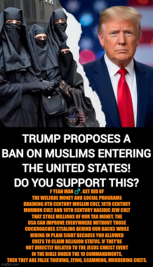 Funny | F yeah man ♂️. Get rid of the welfare money and social programs draining 8th century Muslim cult, 18th century Mormon cult and 19th century Hasidic Jew cult that stole millions of our tax money. The USA can improve everywhere without those cockroaches stealing behind our backs while hiding in plain sight because you allowed cults to claim religion status. If they're not directly related to the Jesus Christ event in the Bible under the 10 commandments, then they are false thieving, lying, scamming, murdering cults. | image tagged in politics,cult,terrorists,scammers,cockroaches,thief murderer | made w/ Imgflip meme maker