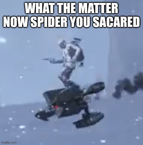 Arc Raider on a Hornet | what the matter now spider you sacared | image tagged in arc raider on a hornet | made w/ Imgflip meme maker
