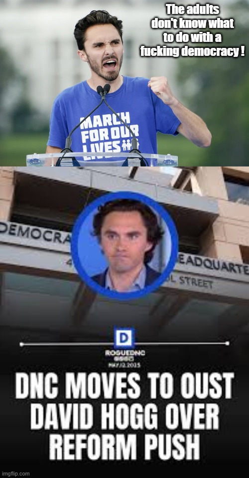 The adults don't know what to do with a fucking democracy ! | made w/ Imgflip meme maker