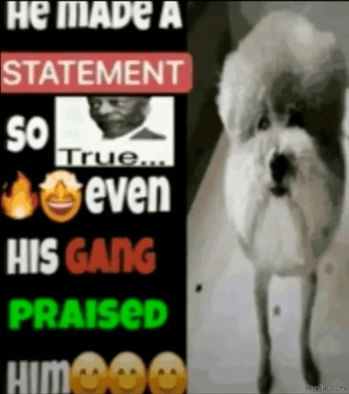 image tagged in he made a statement so true | made w/ Imgflip meme maker