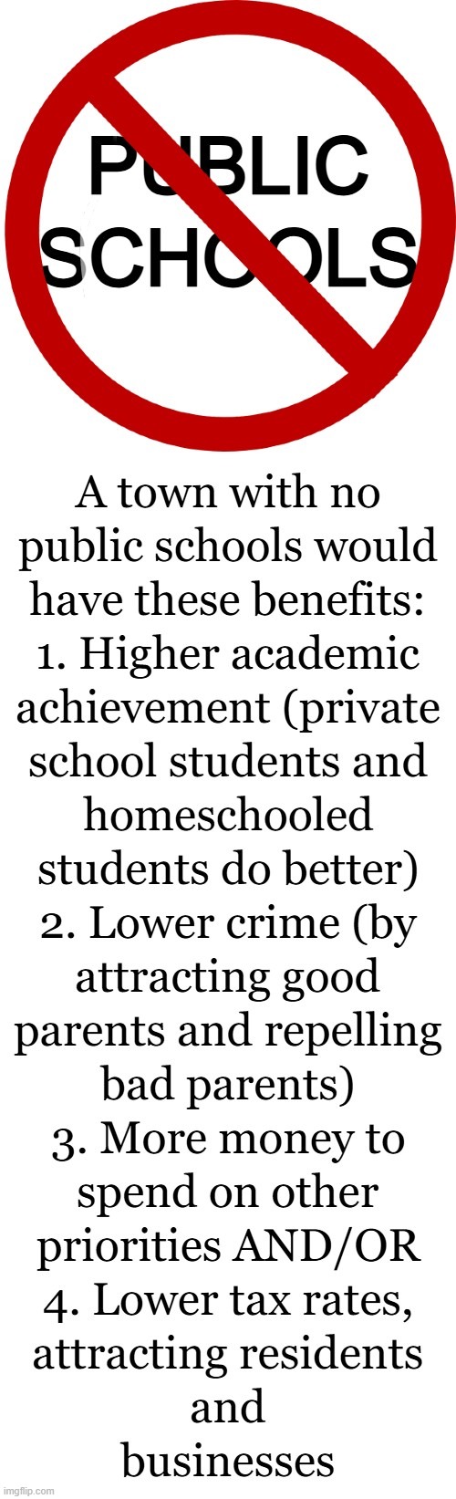Give us a town with no public schools | image tagged in school,public,private,homeschool,taxes,crime | made w/ Imgflip meme maker