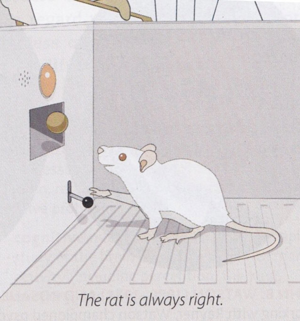 The Rat is Always Right Blank Meme Template