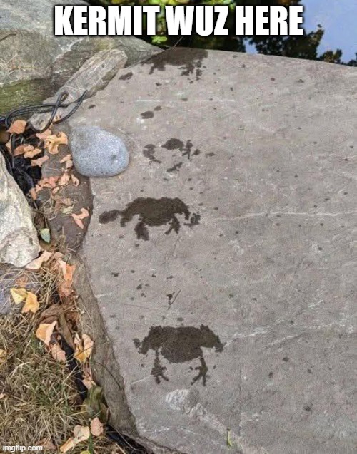 Frog Prints | Kermit wuz here | image tagged in funny,memes | made w/ Imgflip meme maker