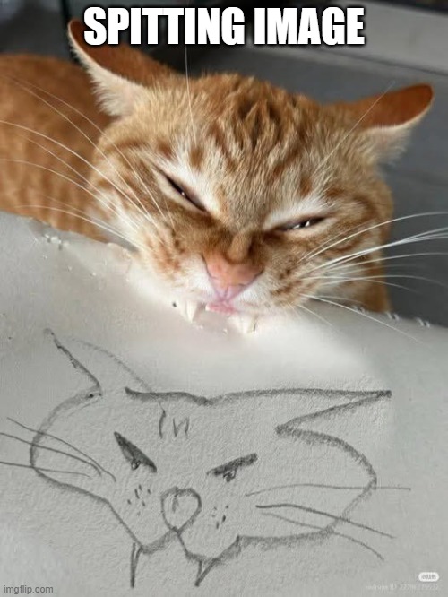 Catcature | spitting image | image tagged in cats | made w/ Imgflip meme maker