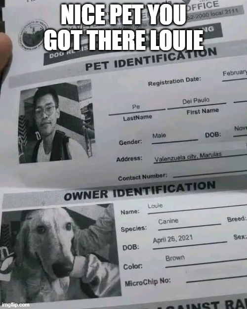 ID Fail | Nice pet you got there Louie | image tagged in you had one job | made w/ Imgflip meme maker
