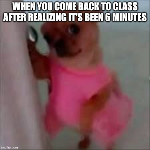 AP Lang Meme - Rhema Hartfield-Dyels | When you come back to class after realizing it's been 6 minutes | image tagged in images jpeg | made w/ Imgflip meme maker