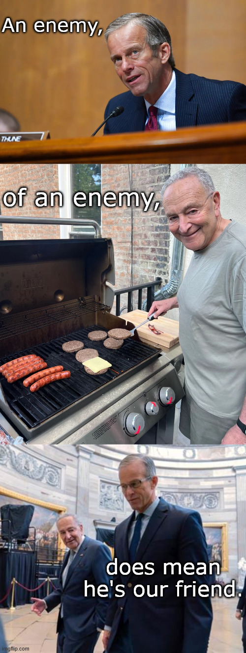 Thanks for nothing  JackA$$ John | An enemy, of an enemy, does mean he's our friend. | image tagged in john thune,chuck schumer burgers | made w/ Imgflip meme maker