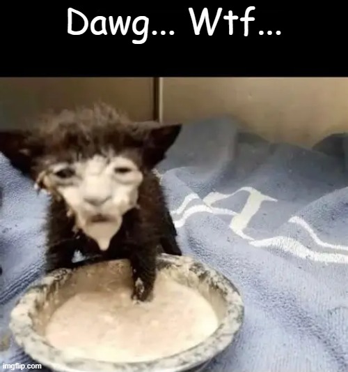 Dawg... Wtf... | made w/ Imgflip meme maker