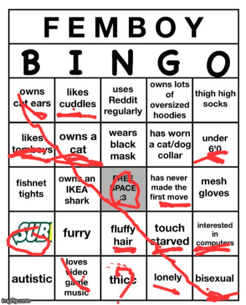 Bleh :P | image tagged in femboy bingo | made w/ Imgflip meme maker