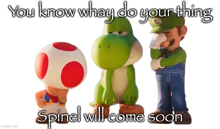 Toad Luigi and Yoshi reaction image | You know whay do your thing; Spinel will come soon | image tagged in toad luigi and yoshi reaction image | made w/ Imgflip meme maker
