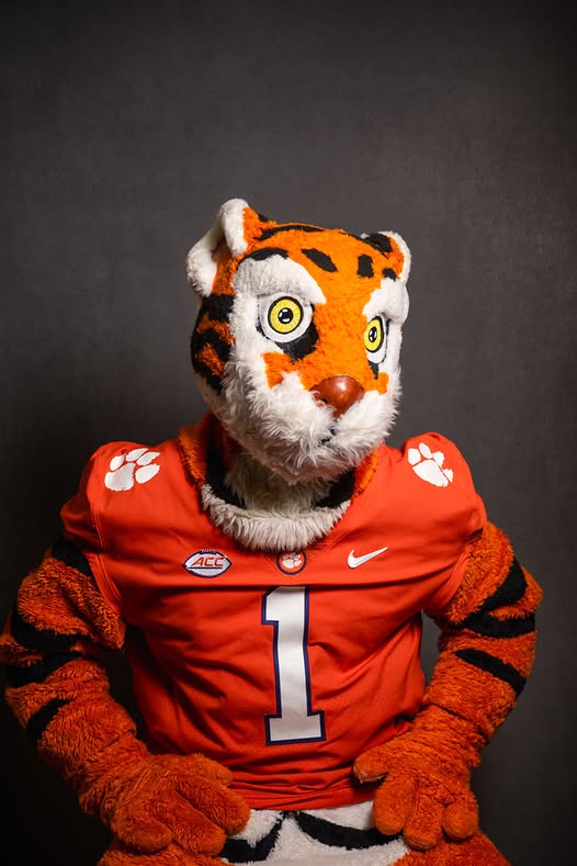 ClemSON Blank Meme Template