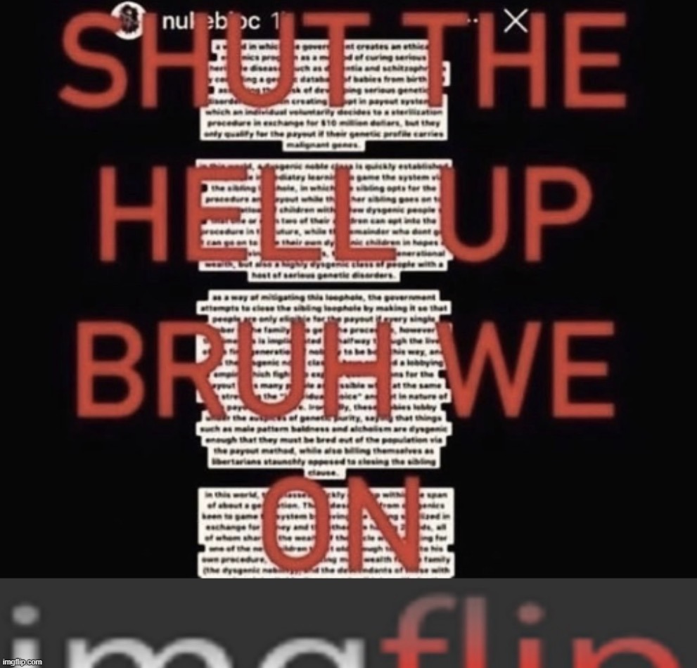 SHUT THE HELL UP WE ON IMGFLIP | image tagged in shut the hell up we on imgflip | made w/ Imgflip meme maker