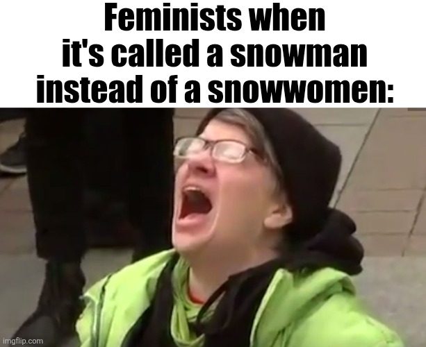 Screaming Liberal  | Feminists when it's called a snowman instead of a snowwomen: | image tagged in screaming liberal | made w/ Imgflip meme maker