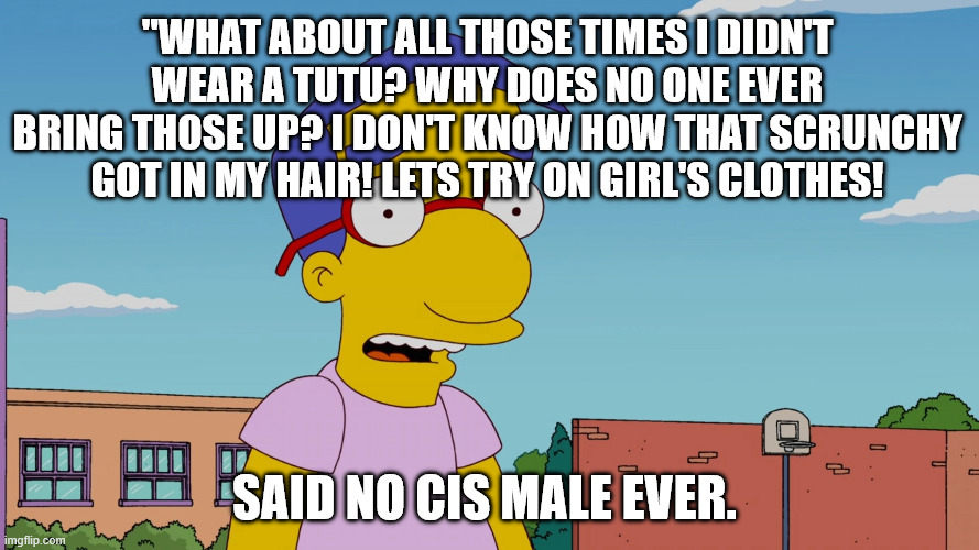 Millhouse The Egg | "What about all those times I didn't wear a tutu? Why does no one ever bring those up? I don't know how that Scrunchy Got in my hair! Lets try on Girl's Clothes! Said no cis male ever. | image tagged in s22e20_homer_scissorhands_-_milhouse webp | made w/ Imgflip meme maker