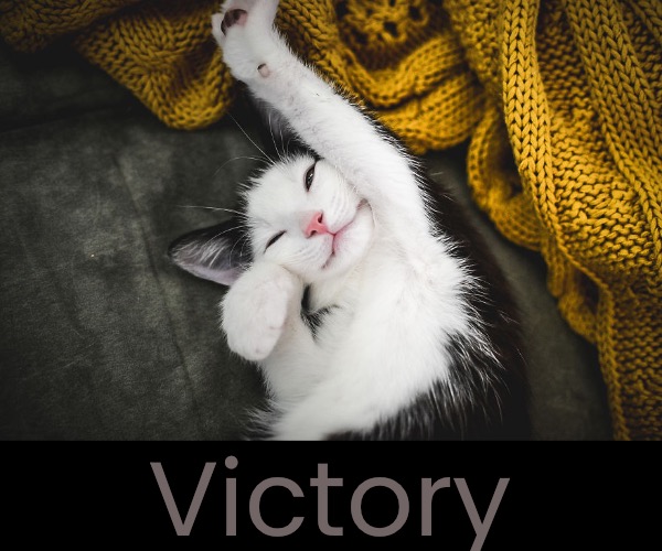 Victory | made w/ Imgflip meme maker