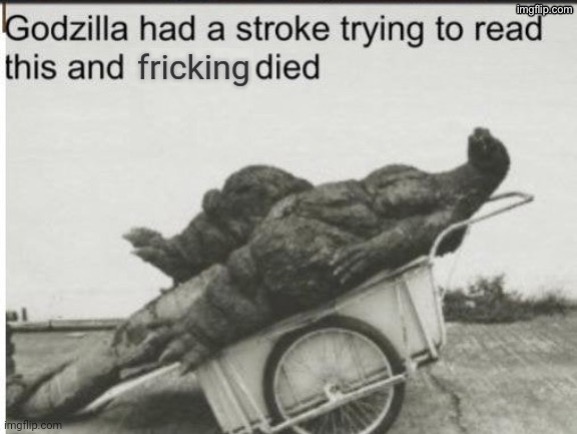 Godzilla had a stroke trying to read this and fricking died | image tagged in godzilla had a stroke trying to read this and fricking died | made w/ Imgflip meme maker