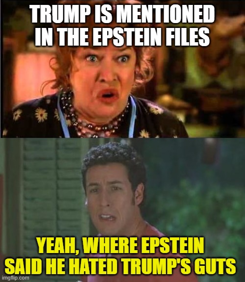 Waterboy Argument | Trump is mentioned in the Epstein files yeah, where Epstein said he hated Trump's guts | image tagged in waterboy argument | made w/ Imgflip meme maker