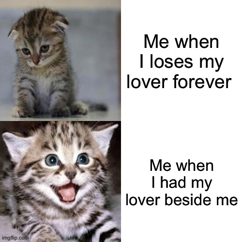 Sad Cat to Happy Cat | Me when I loses my lover forever; Me when I had my lover beside me | image tagged in sad cat to happy cat | made w/ Imgflip meme maker