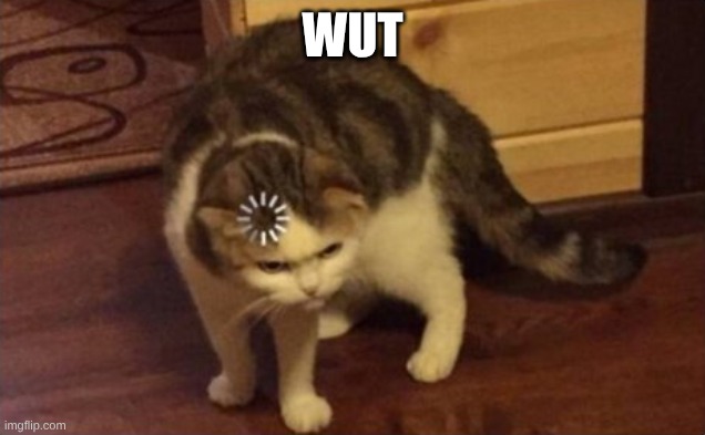 wut | image tagged in dumb cat brain loading | made w/ Imgflip meme maker
