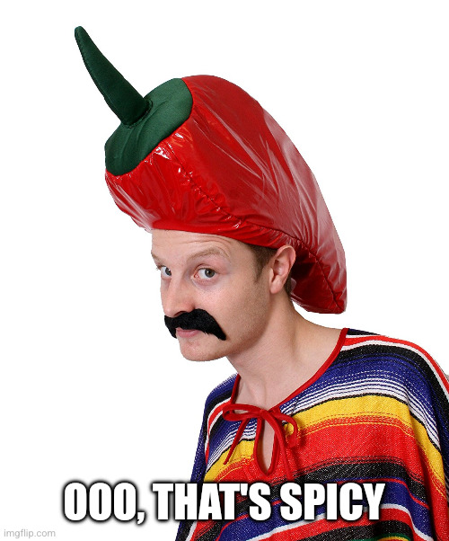 Hot n' Spicy | Ooo, that's spicy | image tagged in hot n' spicy | made w/ Imgflip meme maker