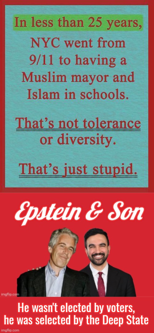 Epstein Jr was selected by the Deep State | He wasn't elected by voters, he was selected by the Deep State | image tagged in img 53 jpeg,epstein son,memes,keep calm and carry on red,deep state | made w/ Imgflip meme maker