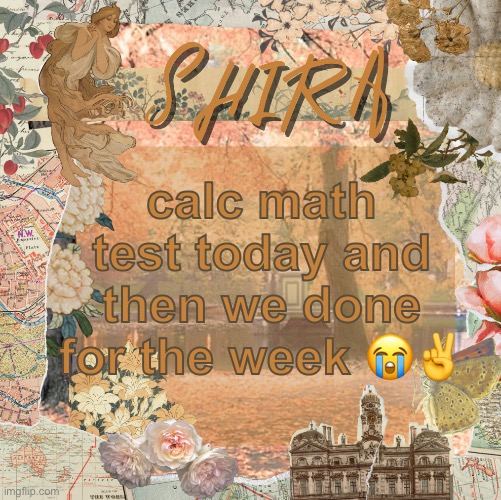 shira’s sweet temp | calc math test today and then we done for the week 😭✌️ | image tagged in shira s sweet temp | made w/ Imgflip meme maker