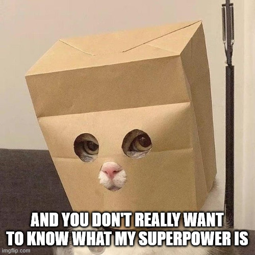 cat bag head | And you don't really want to know what my superpower is | image tagged in cat bag head | made w/ Imgflip meme maker