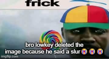 frick | bro lowkey deleted the image because he said a slur😭😭😭 | image tagged in frick | made w/ Imgflip meme maker