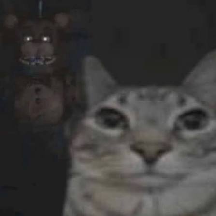 POV: when you slam the door after arguing with your mom Blank Meme Template
