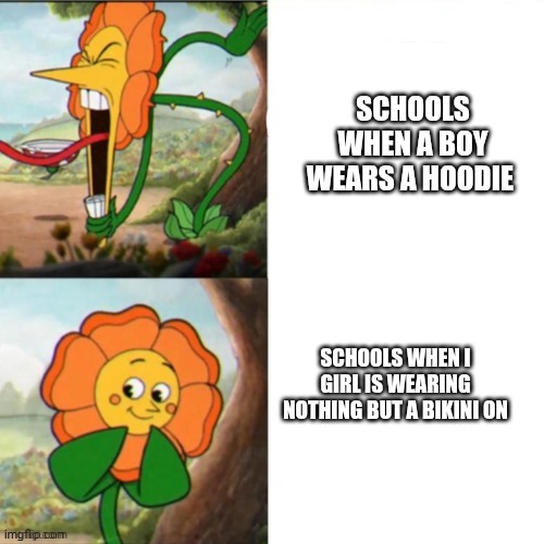 Teacher's Goons to minors | Schools when a boy wears a hoodie; Schools when I girl is wearing nothing but a bikini on | image tagged in sunflower | made w/ Imgflip meme maker