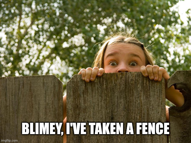 Peeking over fence | Blimey, I've taken a fence | image tagged in peeking over fence | made w/ Imgflip meme maker
