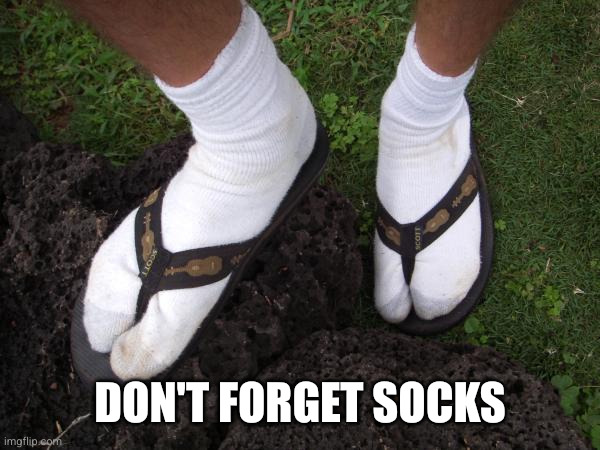Sock flip flop | Don't forget socks | image tagged in sock flip flop | made w/ Imgflip meme maker