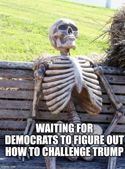 Defying a fascist president shouldn't be so hard to do... | Waiting for Democrats to figure out how to challenge Trump | image tagged in memes,waiting skeleton,democratic party,failing,opposition,weakness disgusts me | made w/ Imgflip meme maker