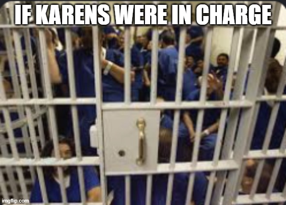 If karens were in charge | If Karens were in charge | image tagged in if karens were in charge | made w/ Imgflip meme maker