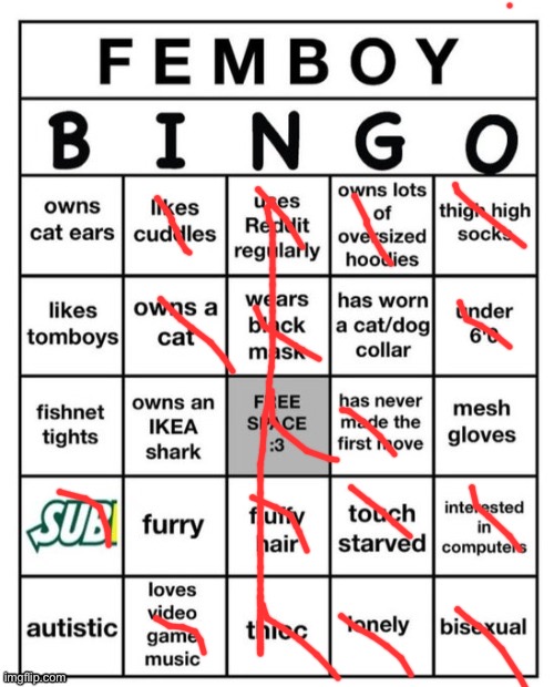 Technically pan but eeehh close enough | image tagged in femboy bingo,skitarii in a month | made w/ Imgflip meme maker
