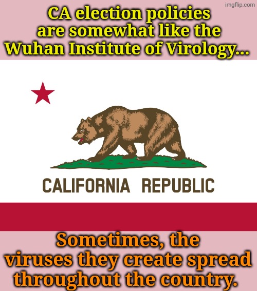 Mask up, folks! | CA election policies are somewhat like the Wuhan Institute of Virology... Sometimes, the viruses they create spread throughout the country. | image tagged in california flag | made w/ Imgflip meme maker