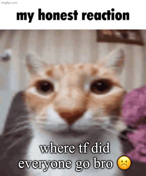 this feels off. | where tf did everyone go bro ☹️ | image tagged in my honest reaction | made w/ Imgflip meme maker
