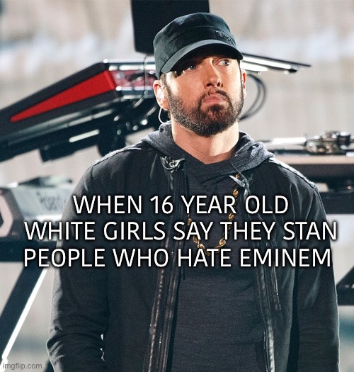 Eminem invented the term | When 16 year old white girls say they Stan people who hate eminem | image tagged in excuse me wtf,bruh | made w/ Imgflip meme maker