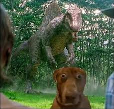 Scared Dog with Dinosaur Behind Blank Meme Template