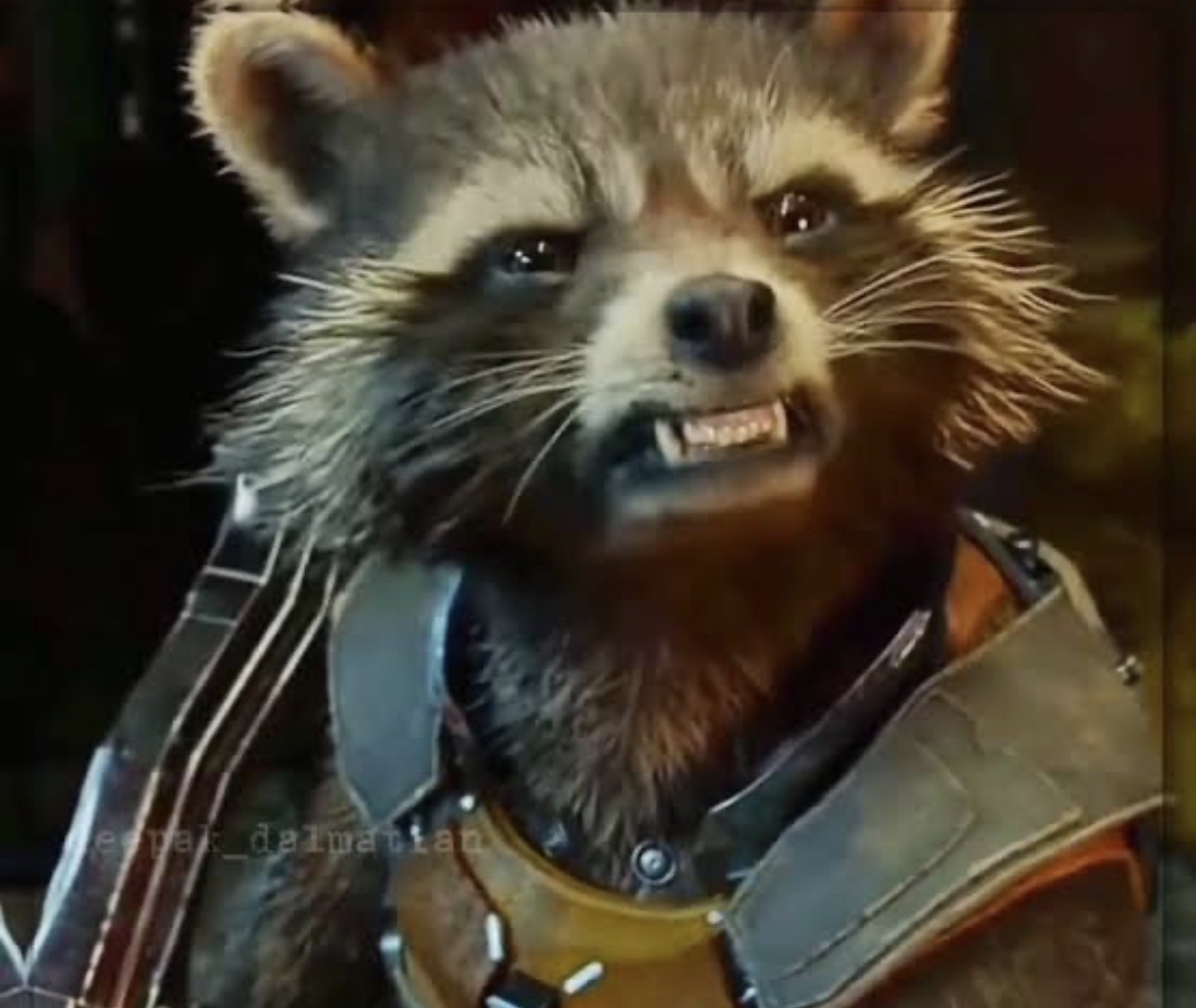 Rocket raccoon Blank Meme Template