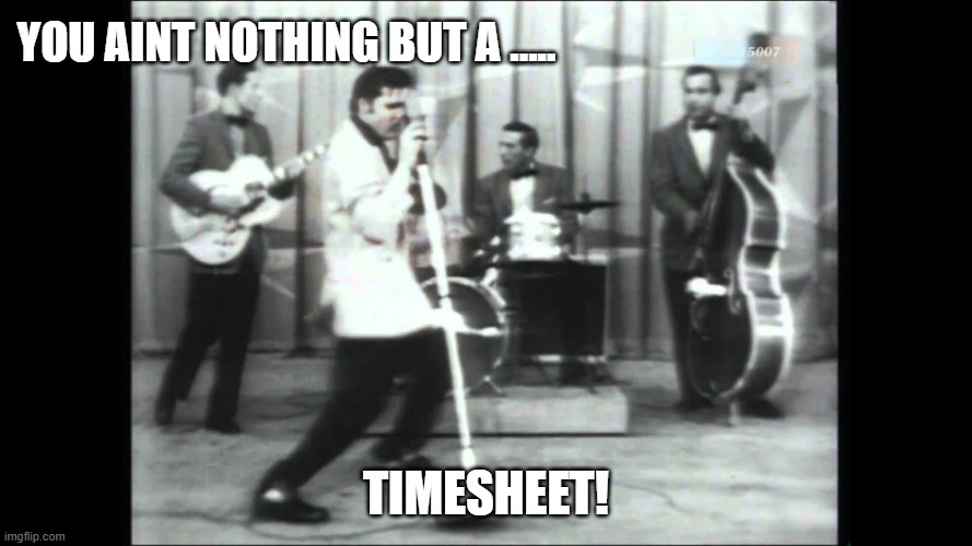 Hound Dog Timesheet Reminder | you aint nothing but a ..... timesheet! | image tagged in hound dog jpg,timesheet reminder,timesheet meme,elvis meme,hound dog meme | made w/ Imgflip meme maker