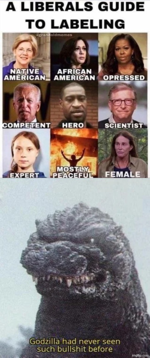 They're Insane | image tagged in libtards,liberal privilege,liberal hypocrisy,liberal logic,godzilla,bullshit | made w/ Imgflip meme maker