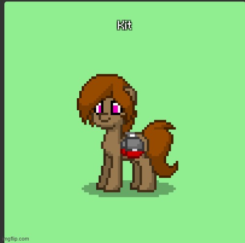 Tried to make Kit in Pony Town (just pretend the hacky sack is Kaboodle. That's what I was going for.) | made w/ Imgflip meme maker
