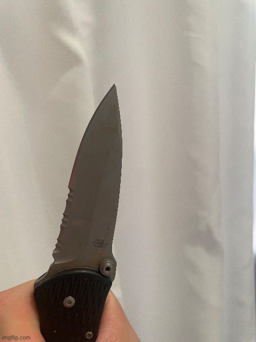 Dope ass knife that sees use that isn’t self harm: | made w/ Imgflip meme maker