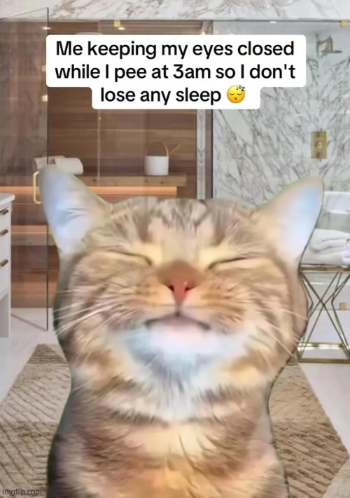 Wasn't aware anyone else did this until just now | made w/ Imgflip meme maker