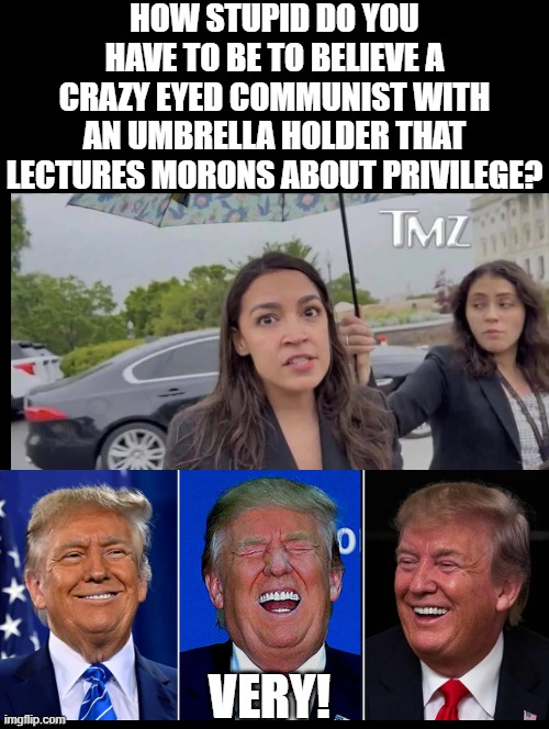 How stupid do you have to be to believe Democrats? Very!! | How stupid do you have to be to believe a crazy eyed communist with an umbrella holder that lectures morons about privilege? Very! | image tagged in stupid liberals,morons | made w/ Imgflip meme maker