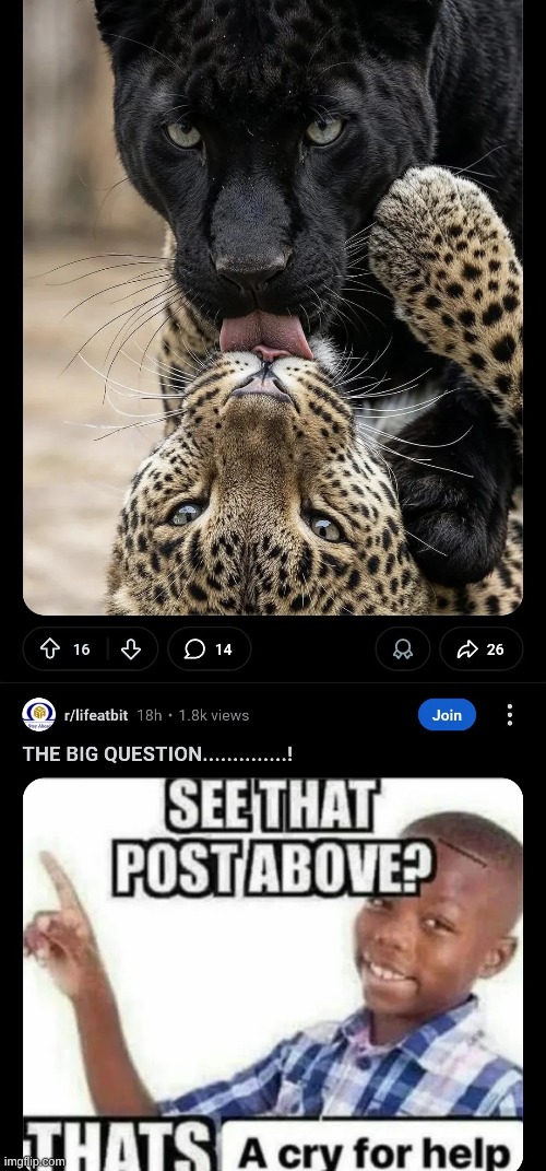 Furries will see this and be like "ohhhhhh shiiiiiiii" | made w/ Imgflip meme maker