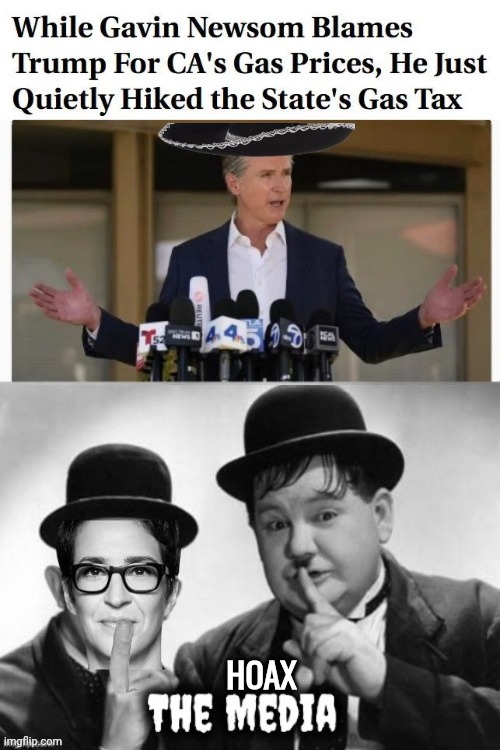 Hoax Media Silence | Hoax | image tagged in atktw1 jpg,laurel and hardy,mad,cow,gavin | made w/ Imgflip meme maker