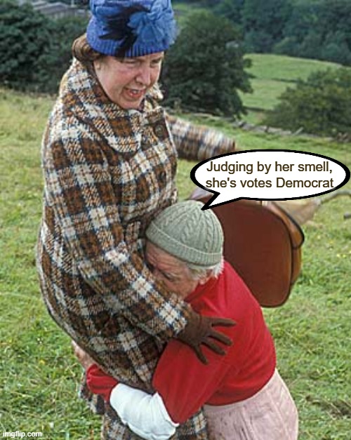 Nora Batty | Judging by her smell, she's votes Democrat | image tagged in british tv,last of the summer wine,nora and compo | made w/ Imgflip meme maker