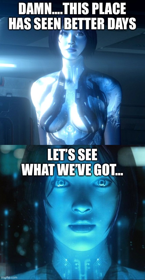 Damn….this place has seen better days Let’s see what we’ve got… | image tagged in cortana | made w/ Imgflip meme maker